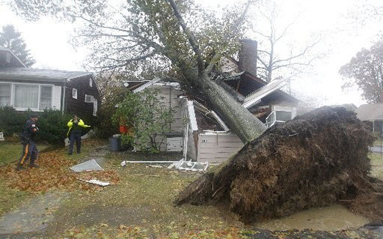 Emergency-Tree-Removal-in-Kinston-NC.jpeg
