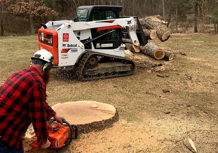 Stump Removal in James City, NC